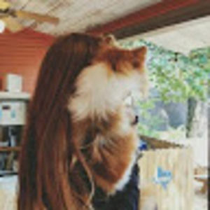 Meet your Posher, Desiree